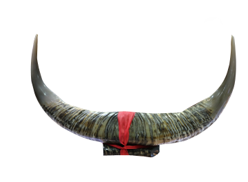 關于我們